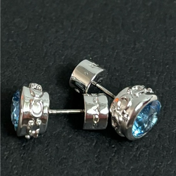 Coach Earrings - Winners Choice - Picture 7 of 9